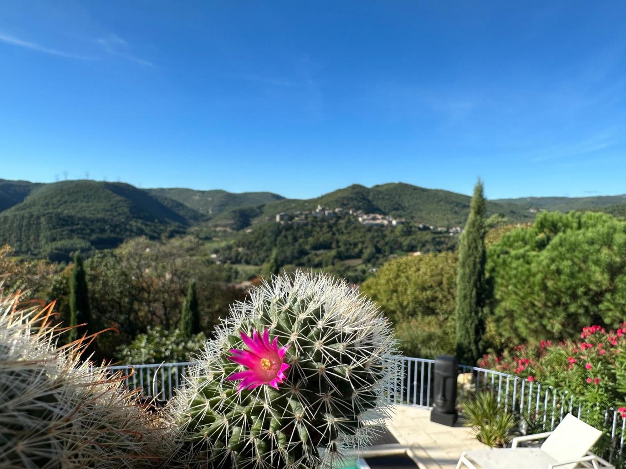 Bastide Saint-Thomé Esterno foto
